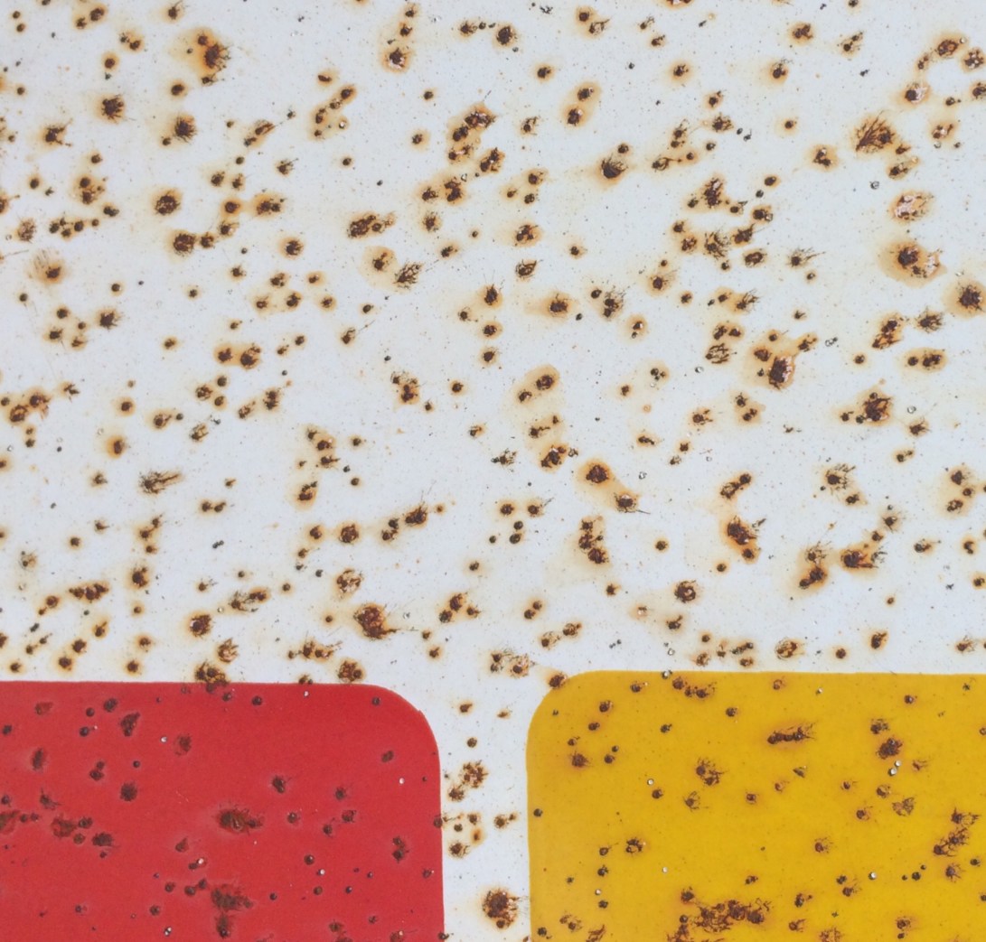 image_549102446885139