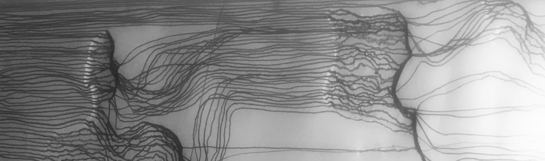 image_114be281-e3ab-489c-9568-884d28188af7.img_6527