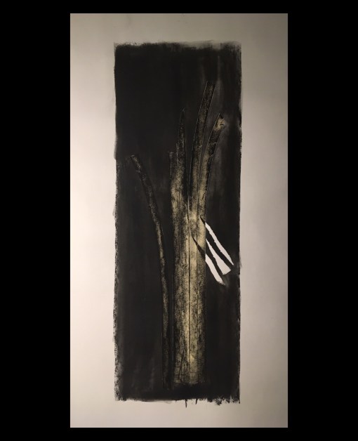 image_24a7f924-7d68-455f-acf7-199179877fe4.img_6706